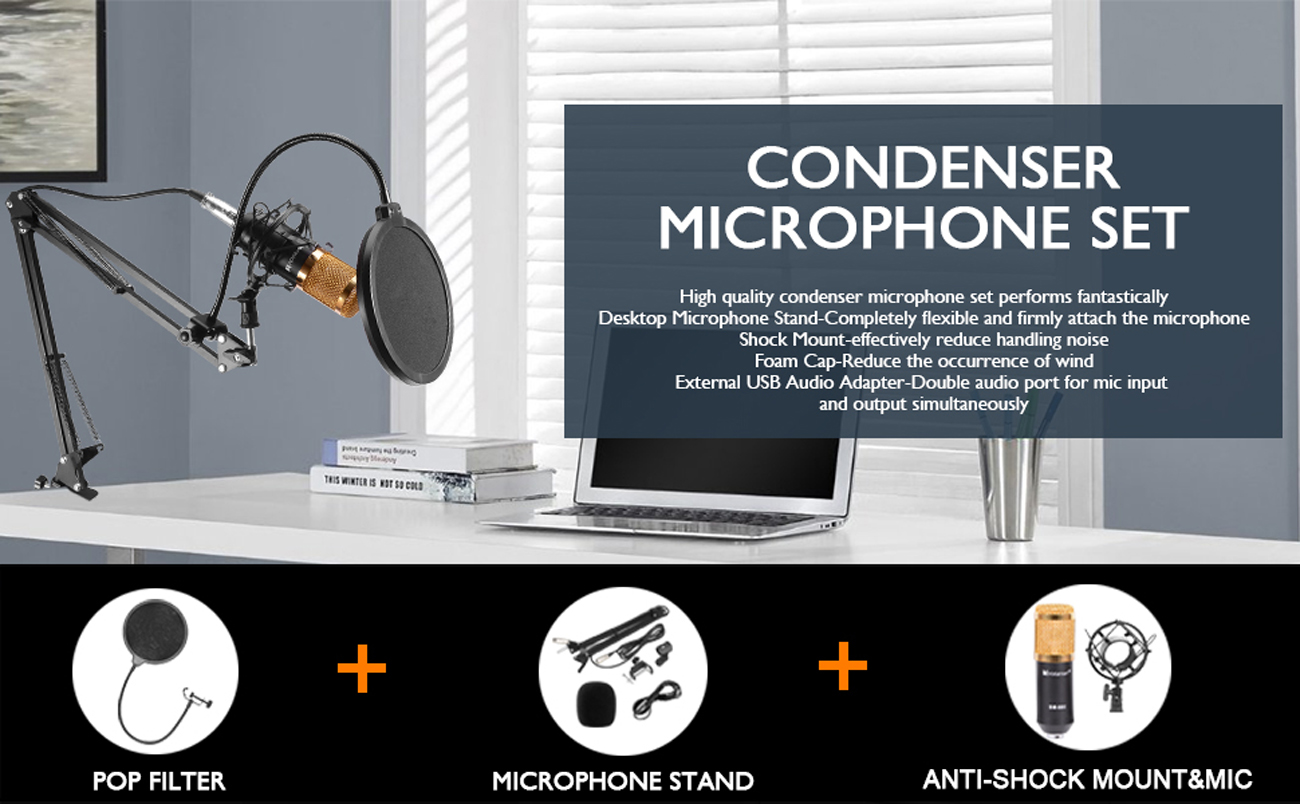 TOLEAP Microphone